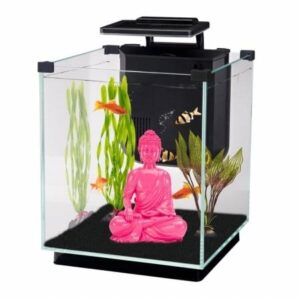 Penn-Plax Saq5 Simplicity 5.5 Desktop Aquarium