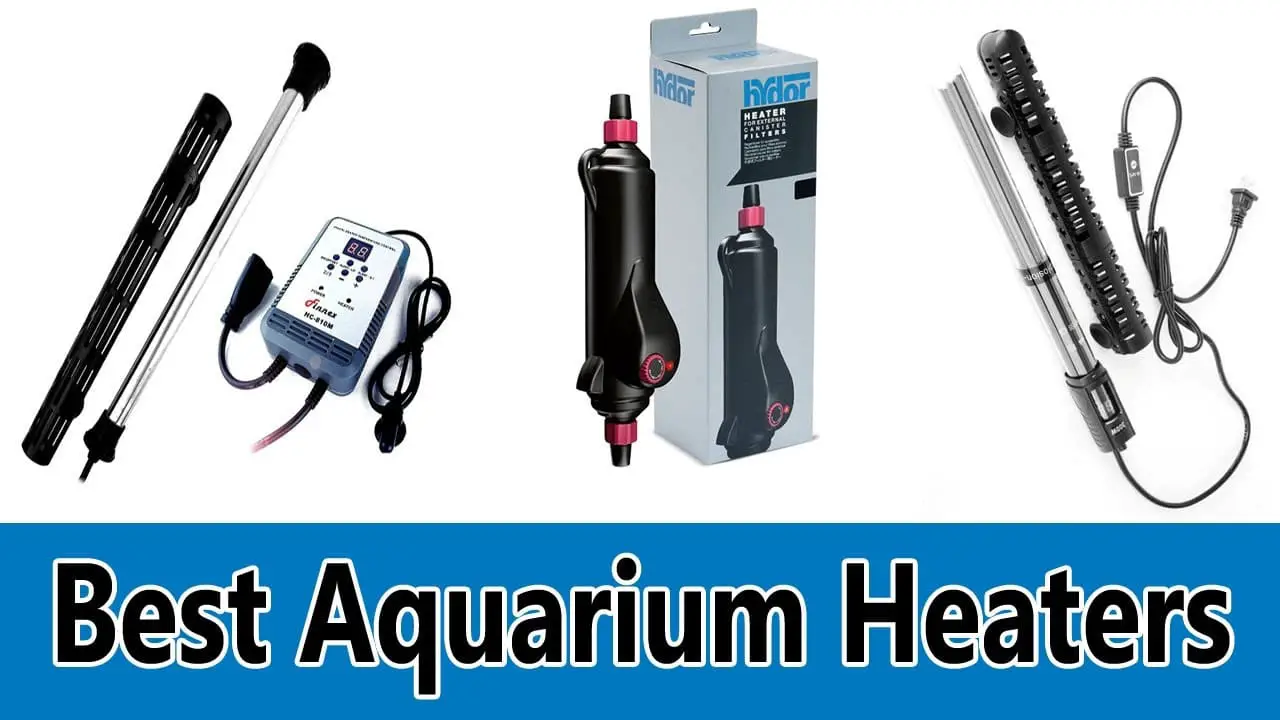 Reviews of Most Popular aquarium heaters