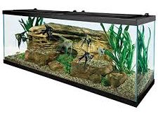 Tetra 55 Gallon Fish Tank