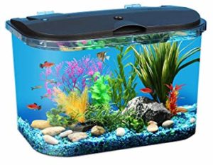 Koller Products Panaview 5 gallon Aquarium Kit