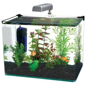 Penn Plax Curved Corner Glass Aquarium Kit – Durable