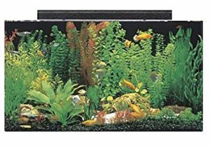 SeaClear Acrylic Aquarium Combo Set 20 gallon