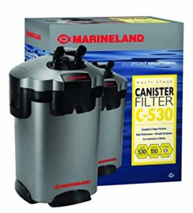 Best Canister filter for aquarium