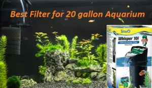 20 gallon fish tank filter