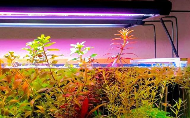 Gallery image with a fresh perspective