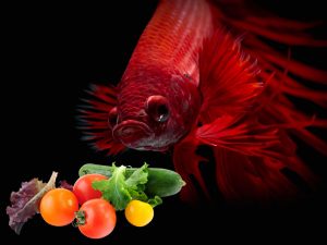 vegetables and a fish
